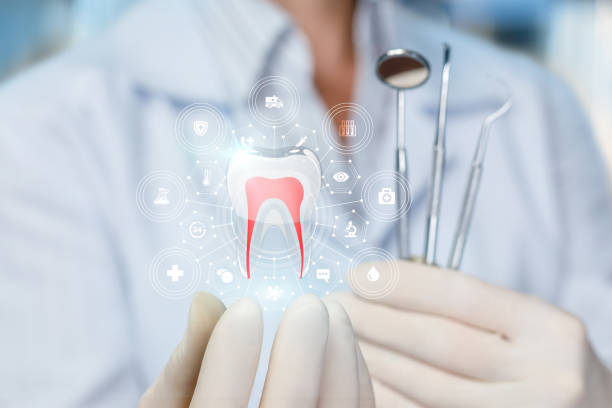 Reliable Alvarado, TX  Holistic Dental Services Solutions